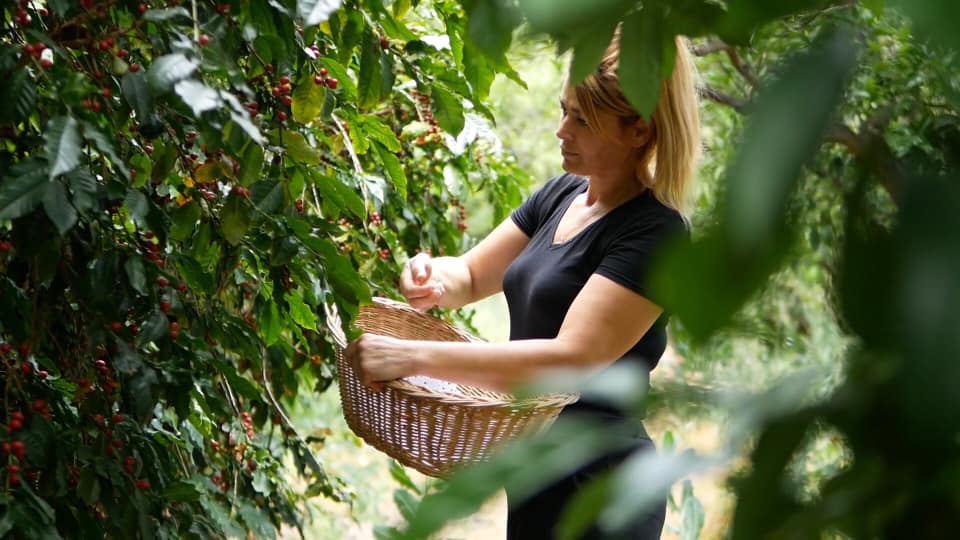 café de finca